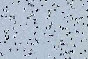 Линолеум Forbo Sphera Ec 450036 water фото  | FLOORDEALER